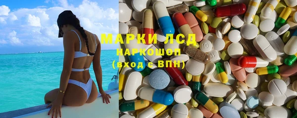 прущие грибы Алексин
