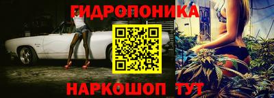 прущие крисы Нарткала