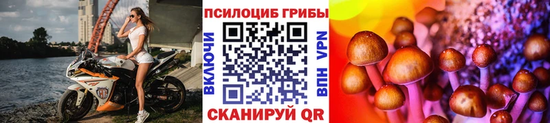 Галлюциногенные грибы GOLDEN TEACHER Березники