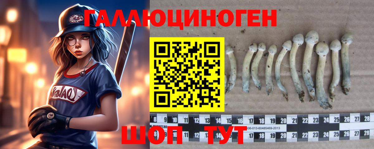Псилоцибиновые грибы GOLDEN TEACHER Березники
